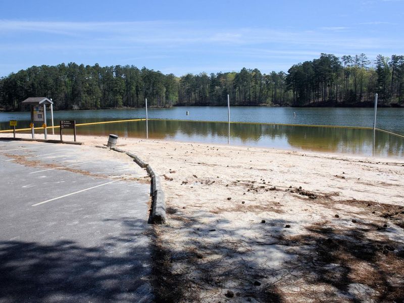McKaskey Creek Campground Swim Beach