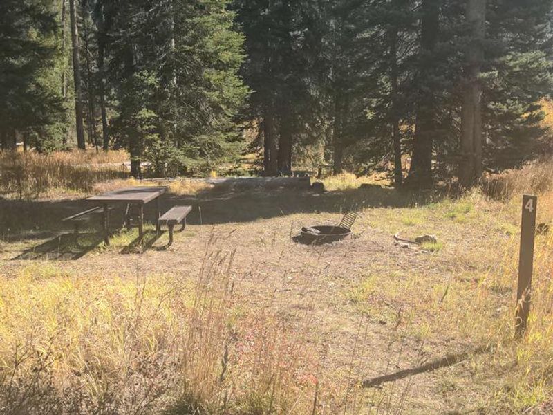 Big Creek Campground - Campsite 3 