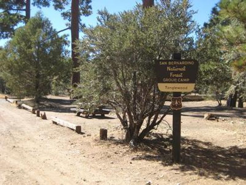 Tanglewood Group Camp Sign
