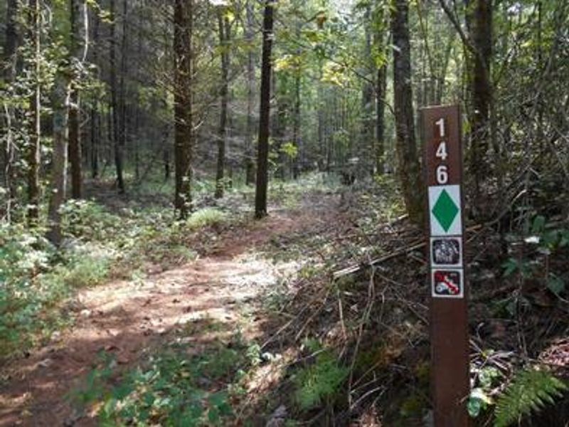 Willis Knob Horse Trail