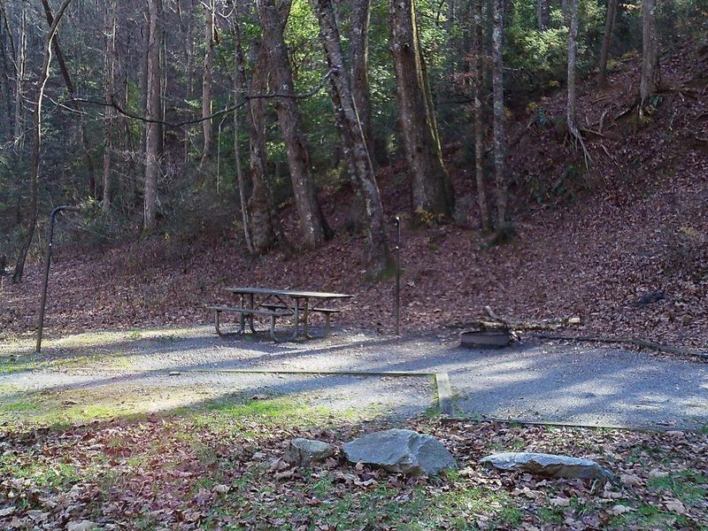Welcome to campsite #7 last hillside site before crossing the ford.