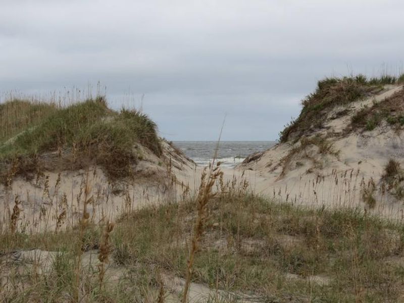 Dune at oregon Inlet Campground