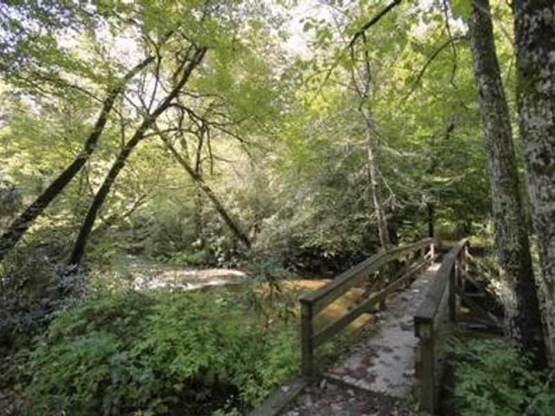 Bridge to White Pines Group Site