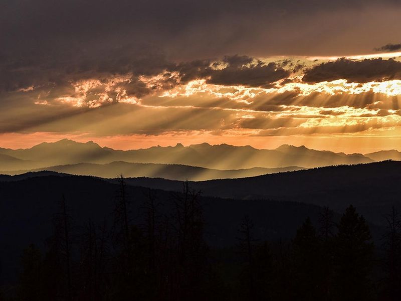 view from McCart Lookout catwalk