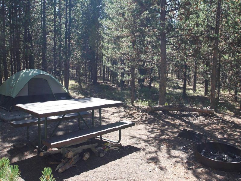 Indian Creek Campground site #56