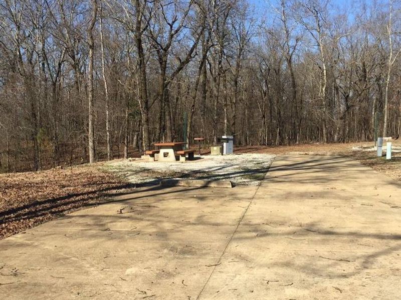 Pat's Bluff Campsite 6