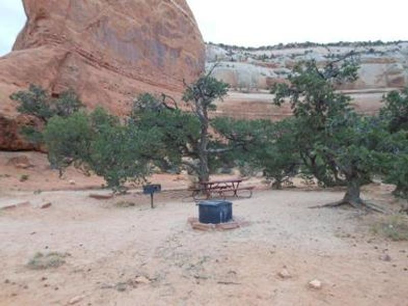 Windwhistle Group Site (4)