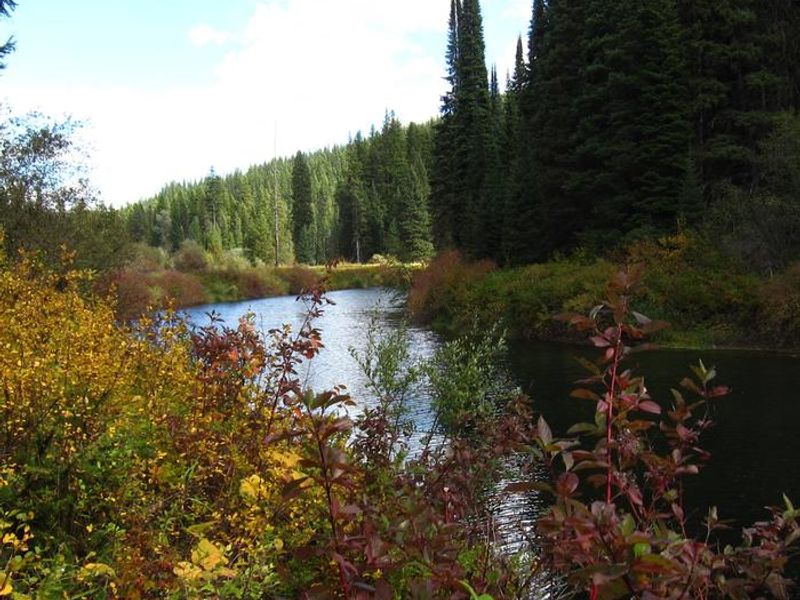 Yaak River from the campground