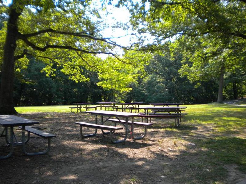 Picnic Area A