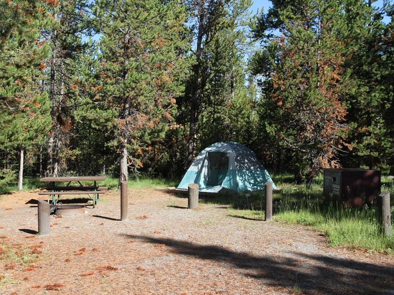Indian Creek Campground site #16