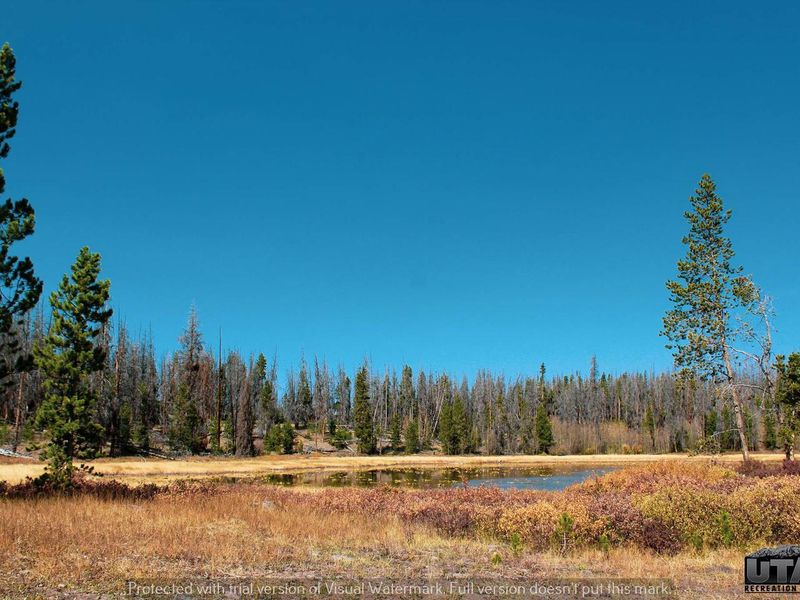Marsh Lake Campground