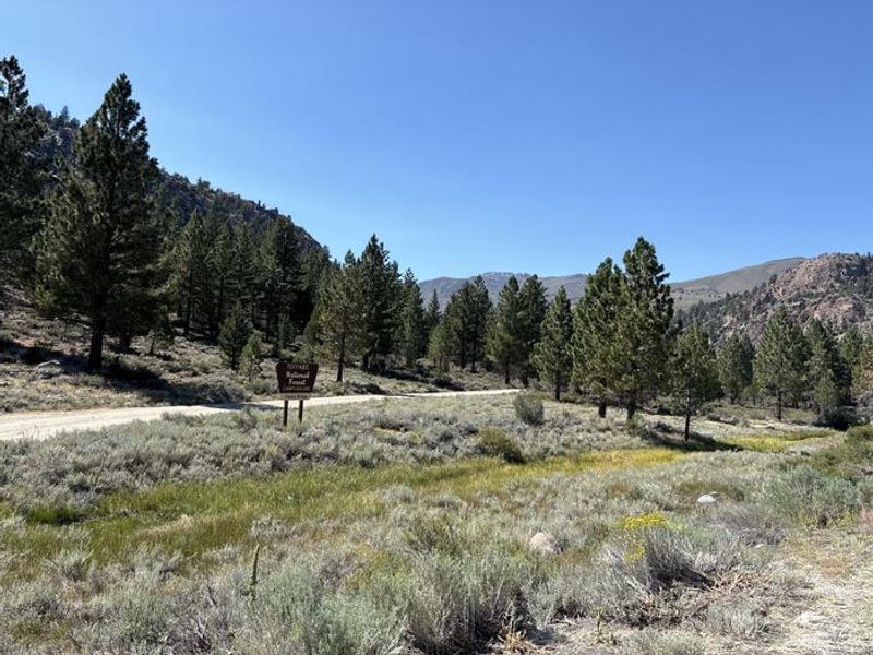 A photo of facility Sonora Bridge with No Amenities Shown