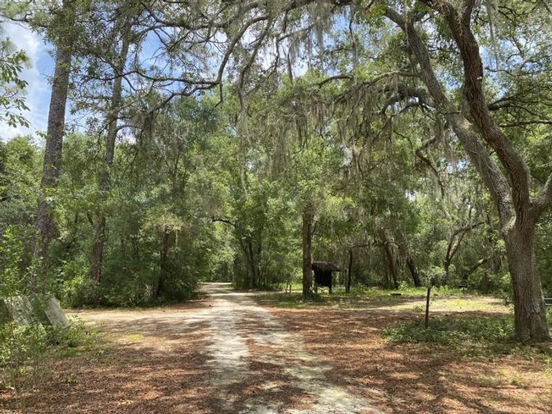 A photo of facility Big Bass Campground loop.