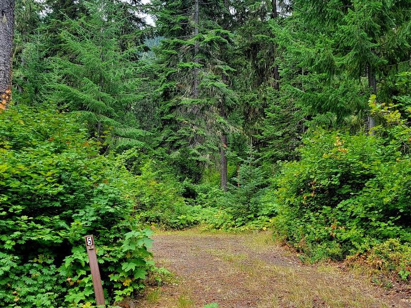 Black Pine Horse Camp - Site 5
