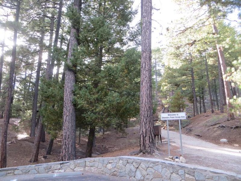 Showers Point Group Campground parking