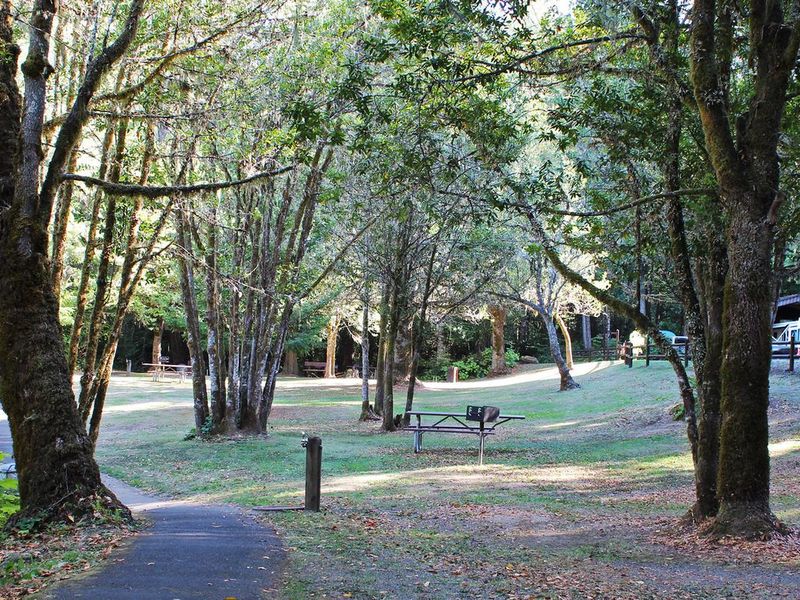View of Paved trail and picnic site at Tyee Campground.