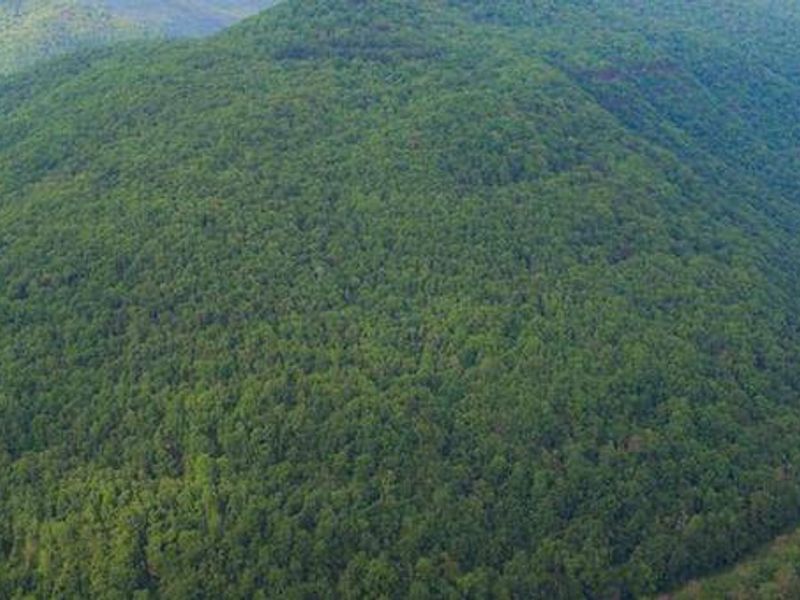 View from Grandview Main Overlook