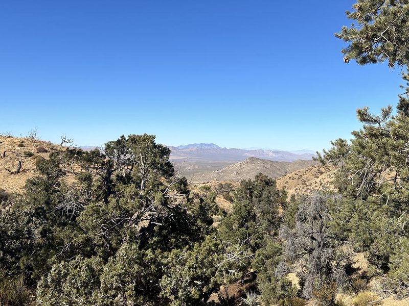 View from Mid Hills Campground