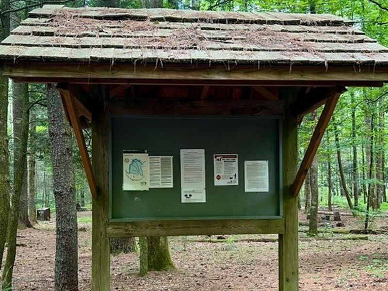 Important Information to Stay Informed