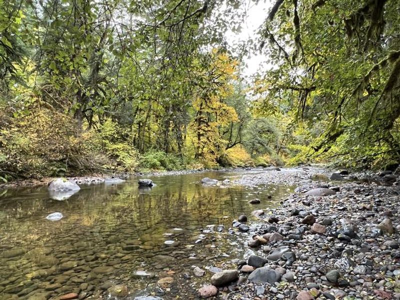 South Santiam River at Trout Creek Campground