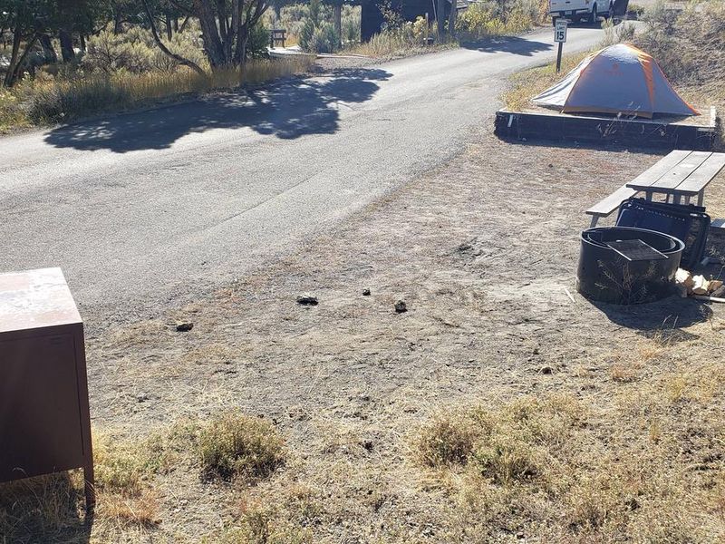 Mammoth Accessible Campsite #55