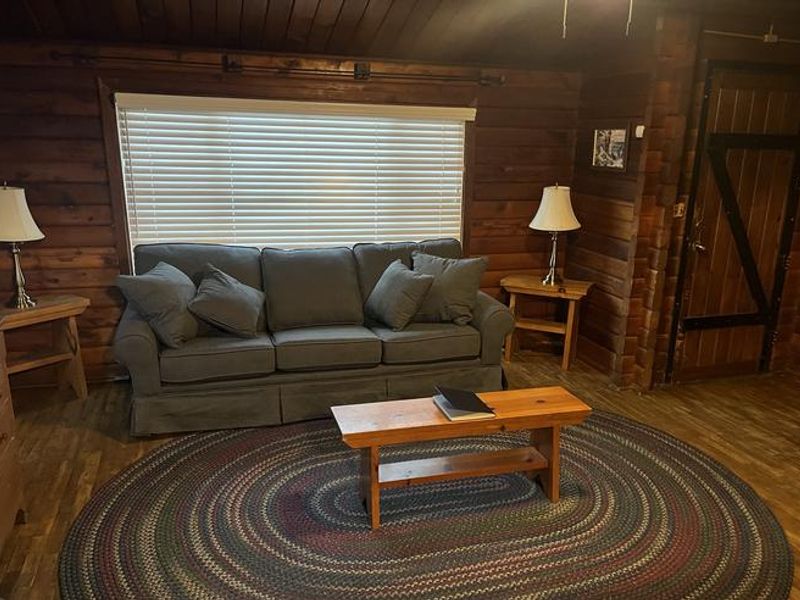 The living room comes with a pull-out couch and rustic furniture.
