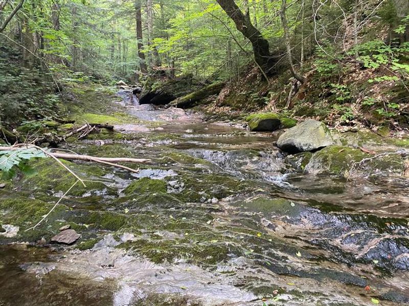 Chittenden Brook