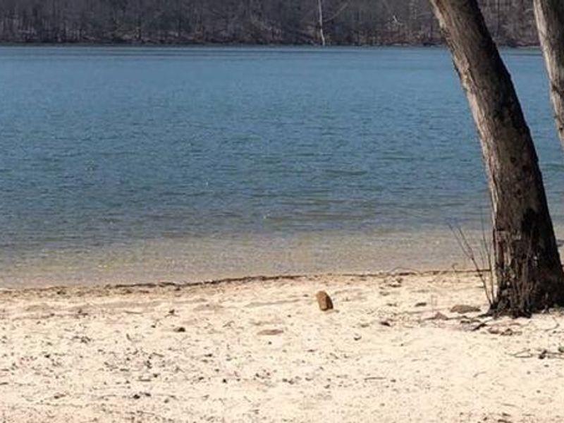 Youghiogheny River Lake Mill Run Beach and Boat Launch