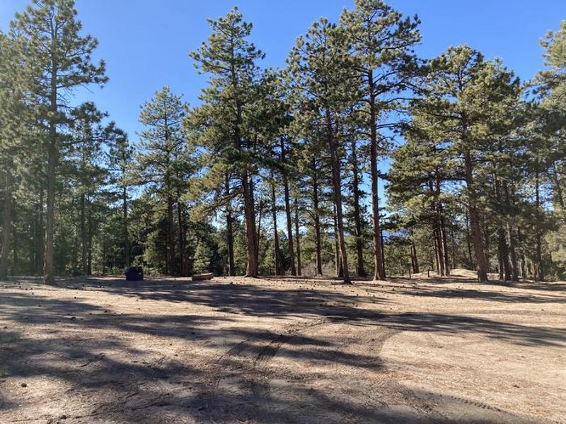 Example of a Designated Dispersed Site (camping area sizes vary)