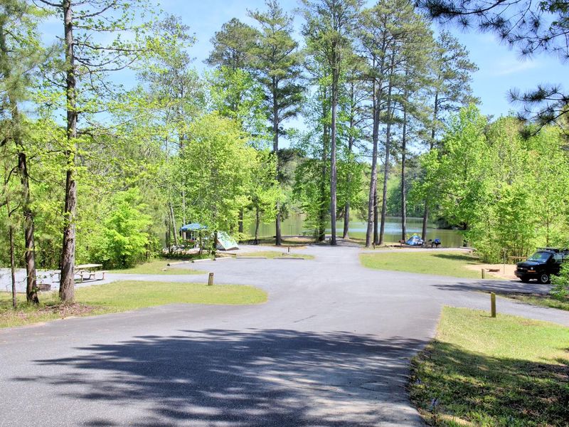Payne Campground Tent Sites
