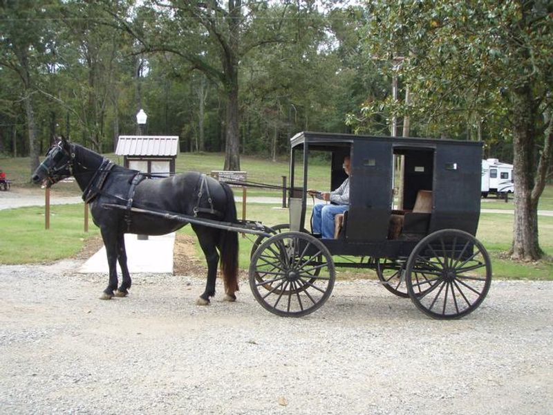 Enjoying Ford's Well Recreation Area