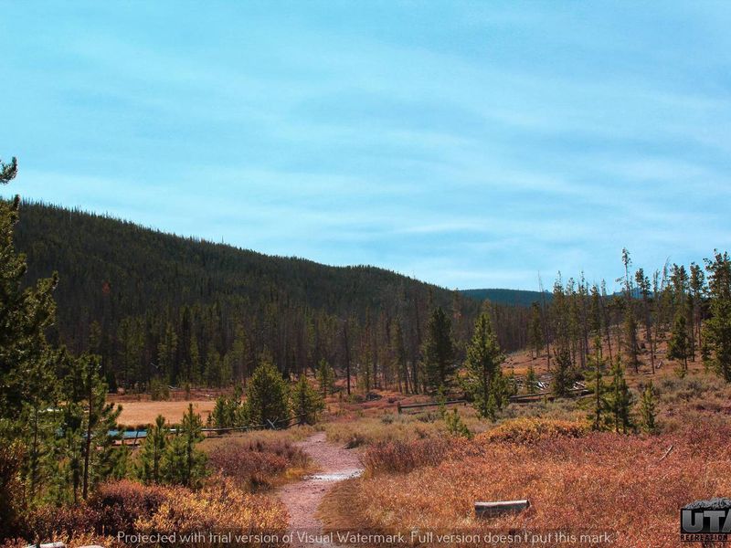 Bridger Lake Campground