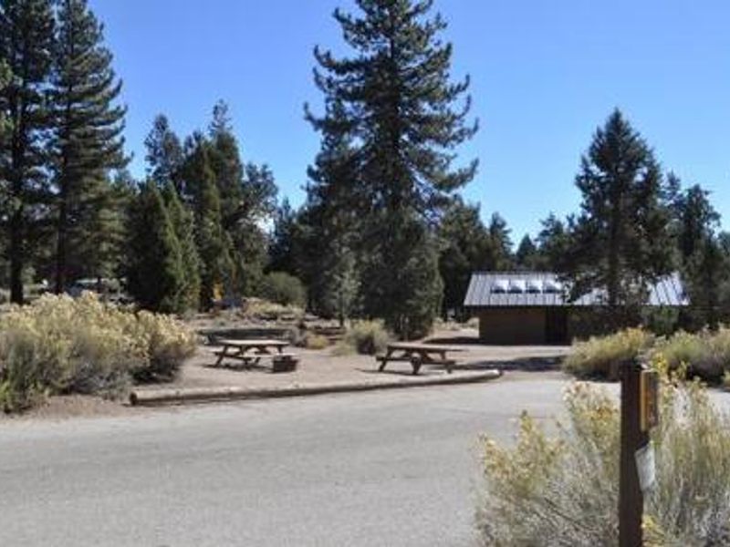 Serrano Campground picnic tables