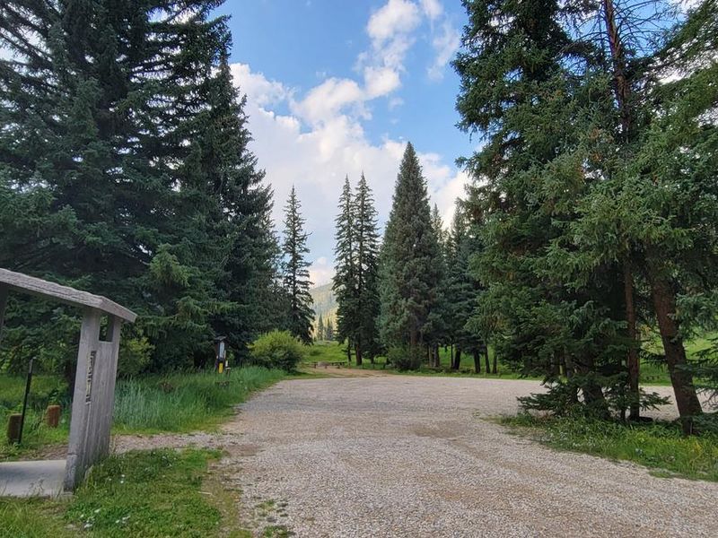 Chute Group Campground