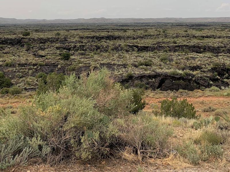 View from one of the campsites overlooking the lava west of the Recreation Area.