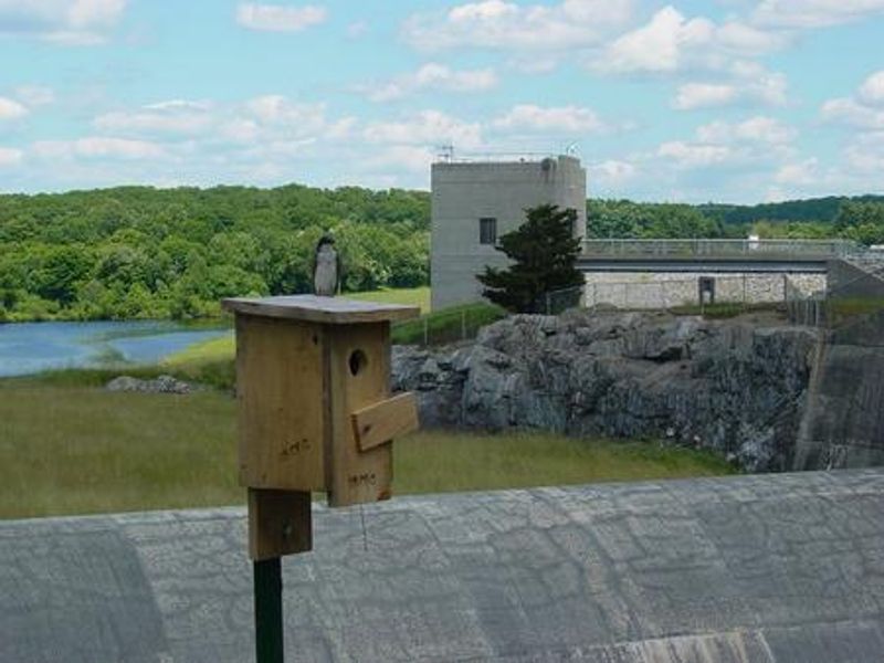 West Thompson Lake Gatehouse