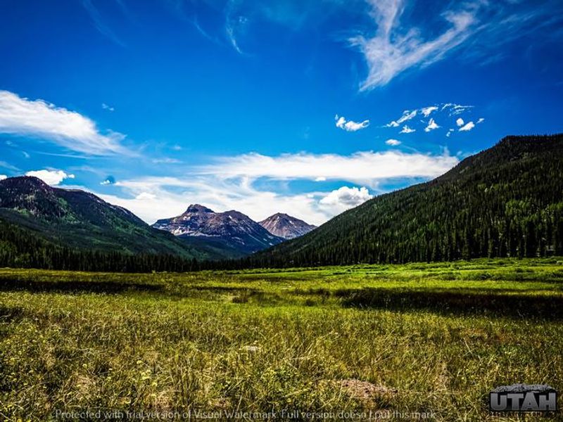Christmas Meadows Campground
