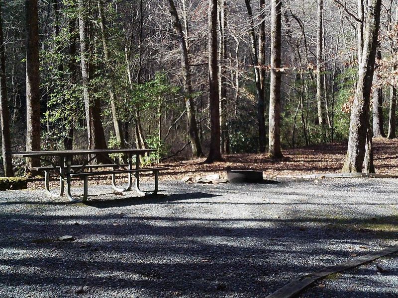 Here is site #12 also along the creek and between 9 & 13 and right across form 10 & 11 just the right space for those family camping adventures.