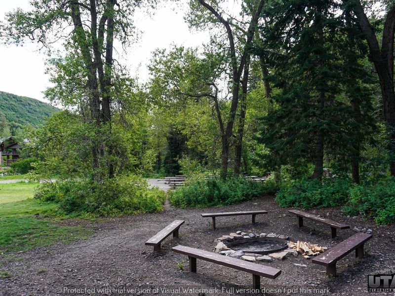 Theater In The Pines