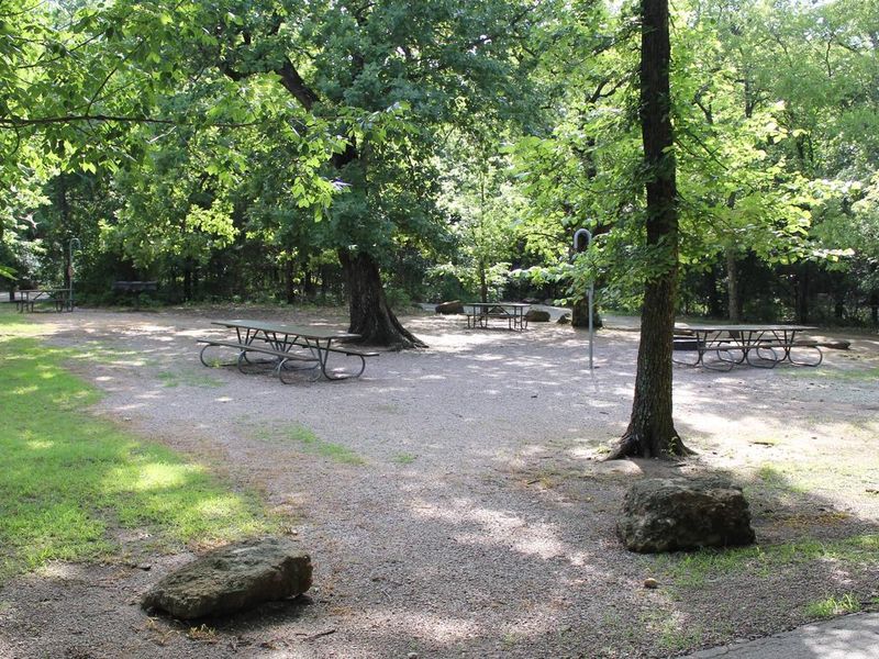 Several picnic tables beneath leafy trees that shade the Rock Creek Group Site
