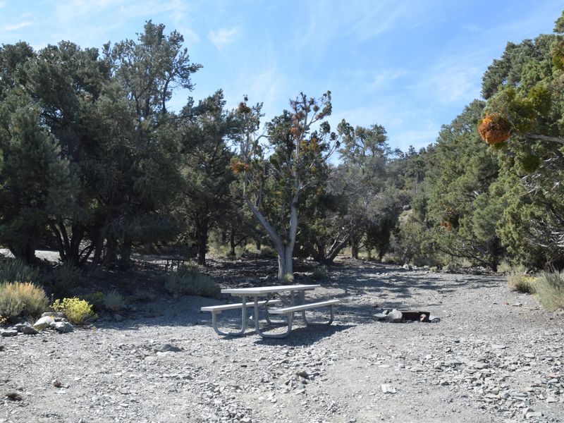 Most campsites offer a mixture of shade and sun.