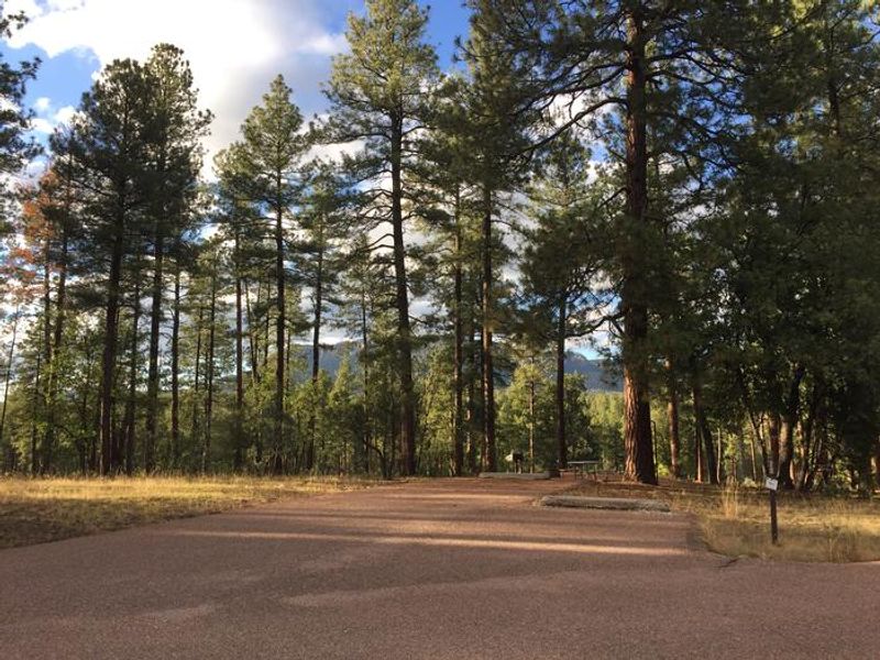 Sharp Creek Campground surrounded by the Tonto National Forest