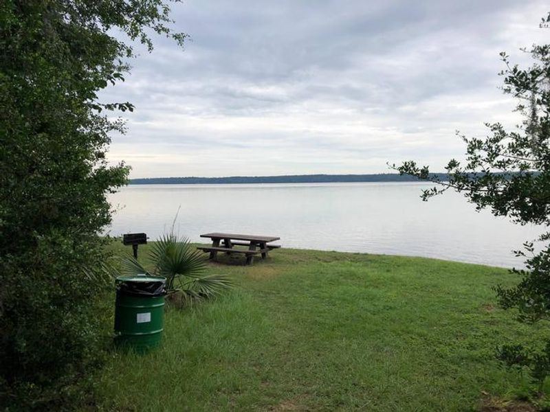 Beautiful day use area off lake conroe, no fishing or swimming off boat ramp or day use area