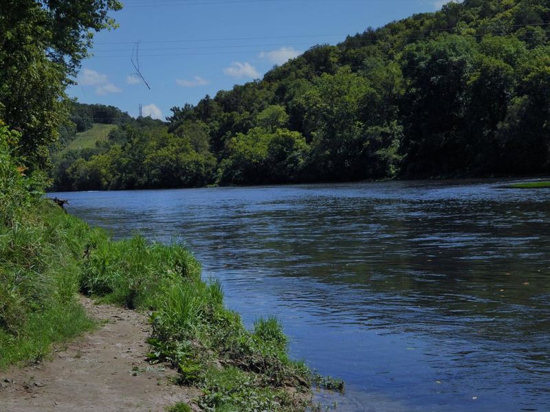 NORTH FORK RIVER VIEW