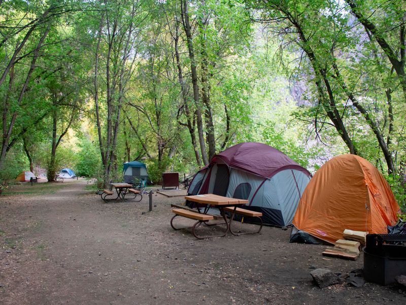Ten of the 15 sites are walk-in tent sites.