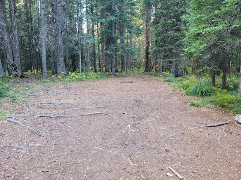 Fish Creek Group Site