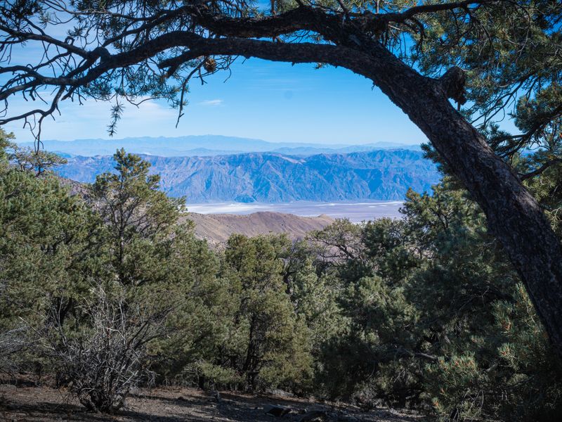 Sites on the east part of the camp have an amazing view of the valley floor.