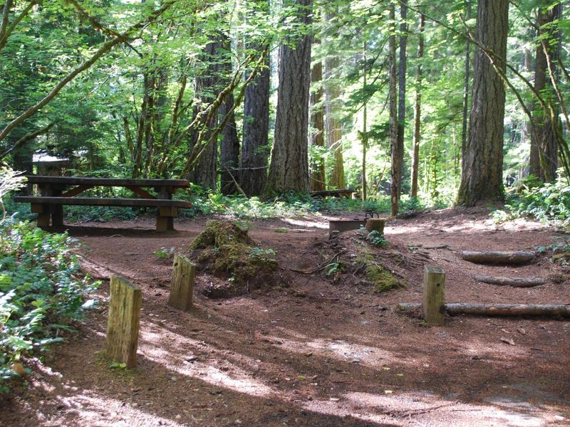 Moss Creek Campsite