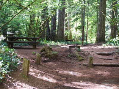 Moss Creek Campsite
