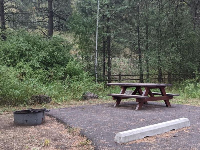 Campsite 4 at Lafferty Campground